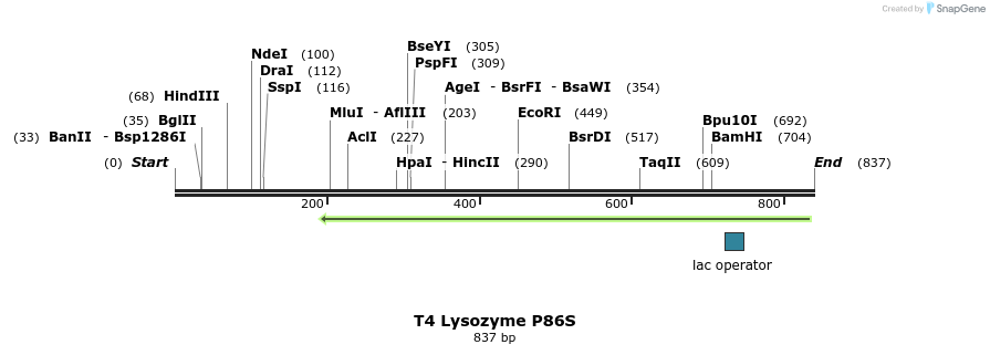 24205_map