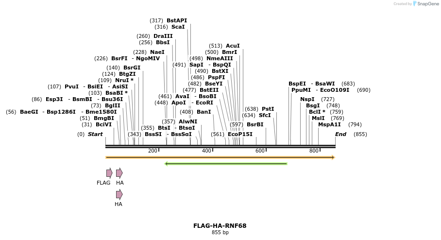 242059_map