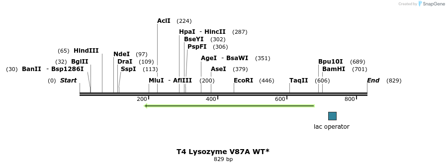 24207_map