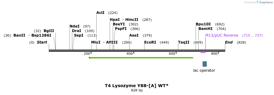 24208_map
