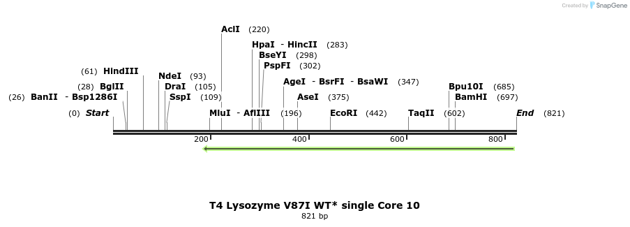 24209_map