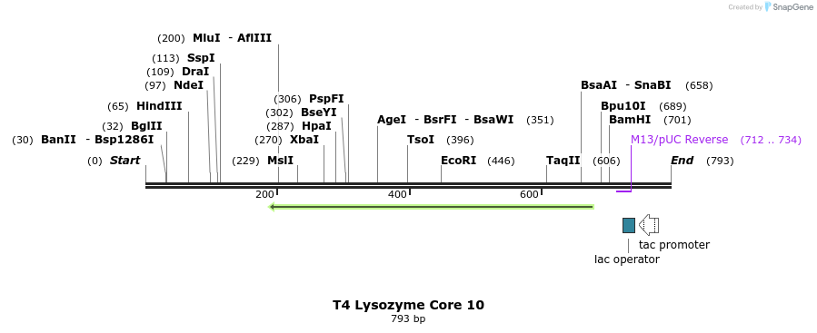 24210_map