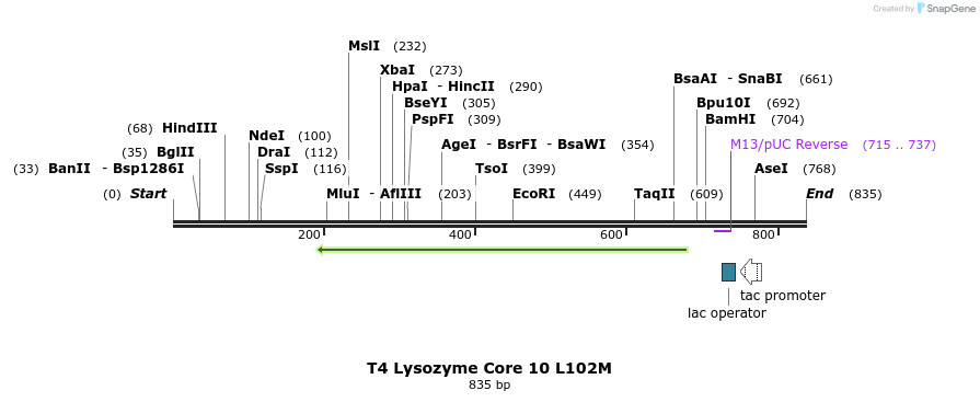 24213_map