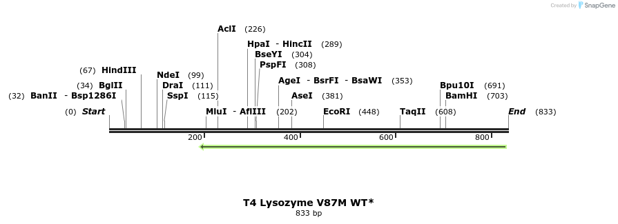 24214_map