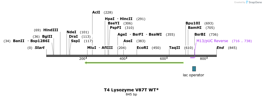 24215_map