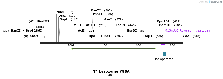 24216_map