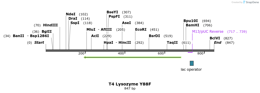24217_map