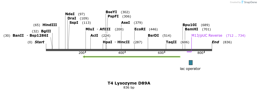 24218_map