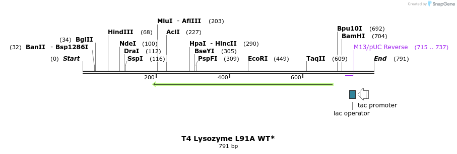 24223_map