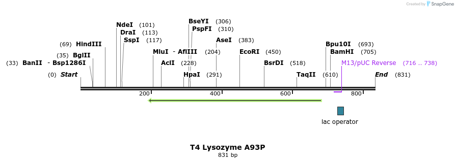 24225_map