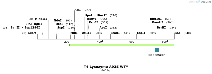 24226_map