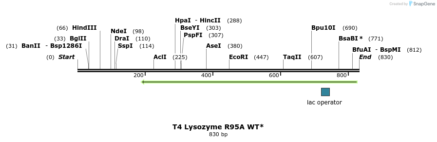 24229_map