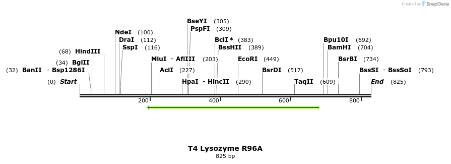 24232_map
