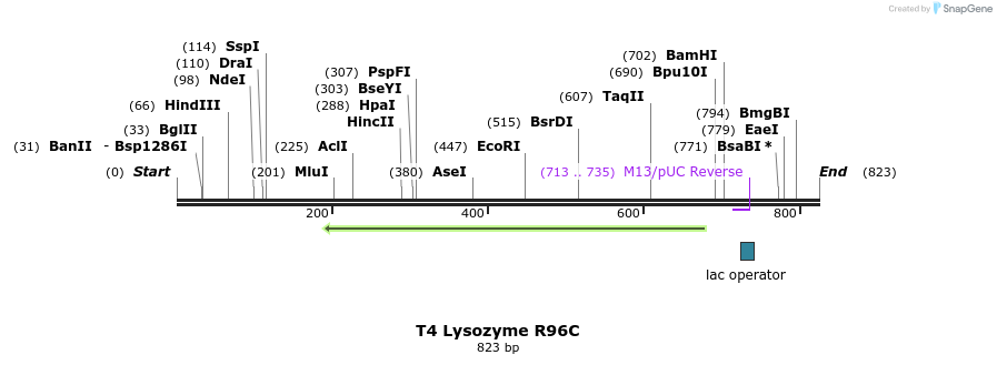 24233_map