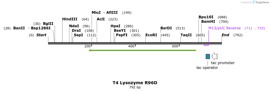 24235_map