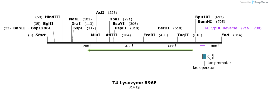 24236_map