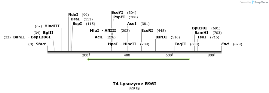 24241_map