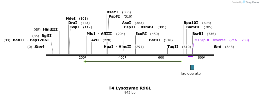24243_map