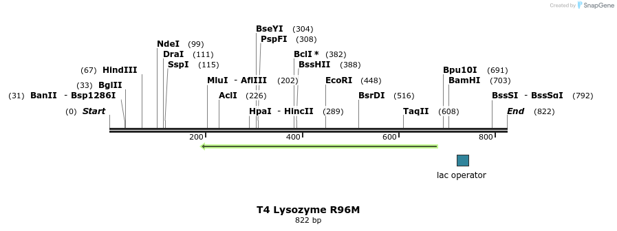24244_map