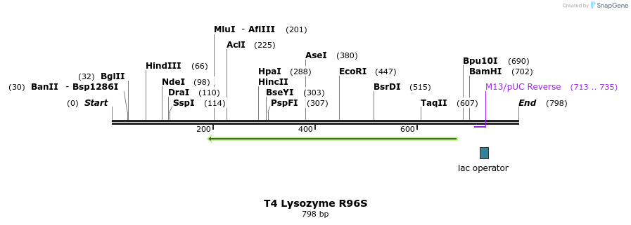 24247_map