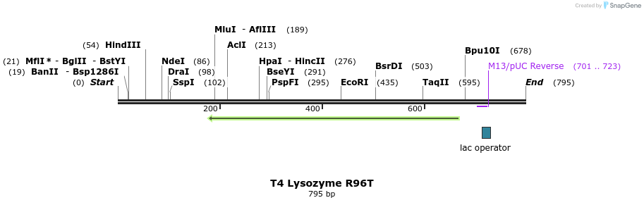24248_map