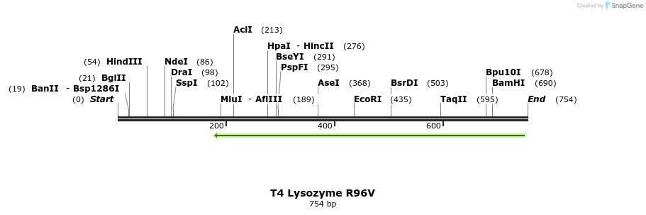 24249_map