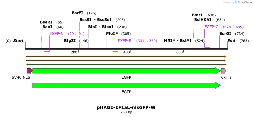 242498_map