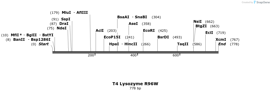 24250_map