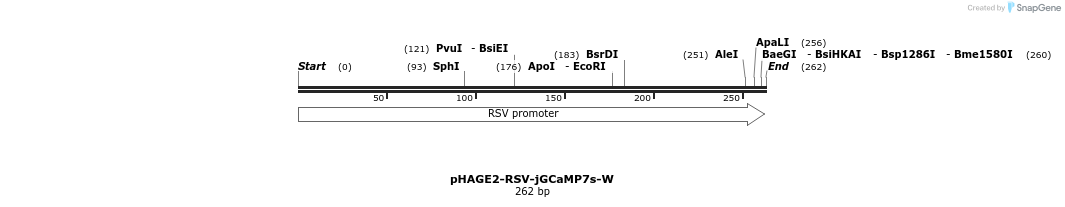 242503_map