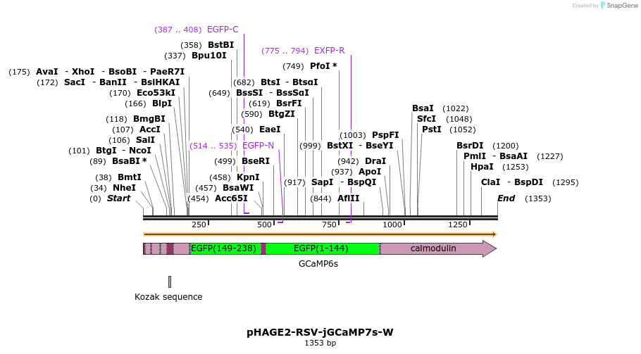 242504_map