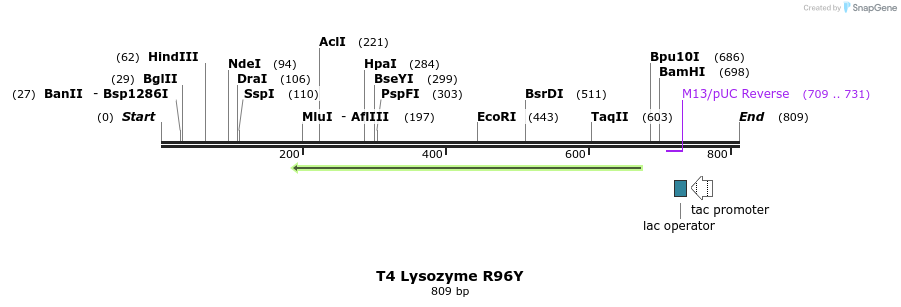24251_map