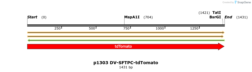 242521_map