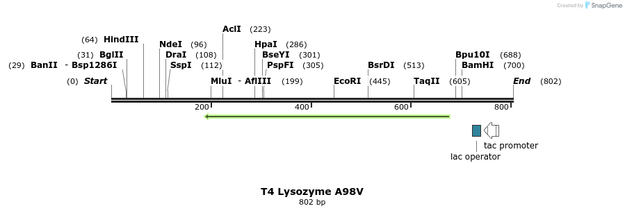 24258_map