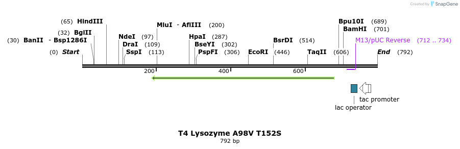24260_map