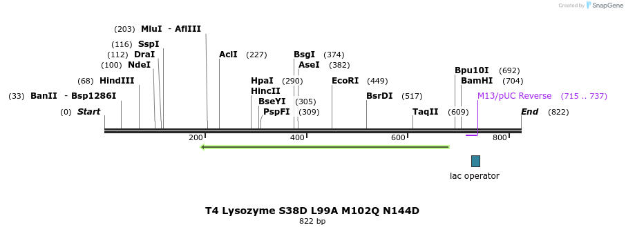 24263_map