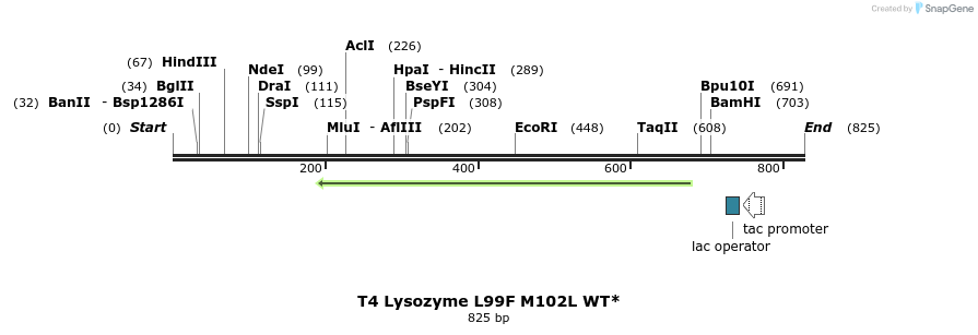 24266_map