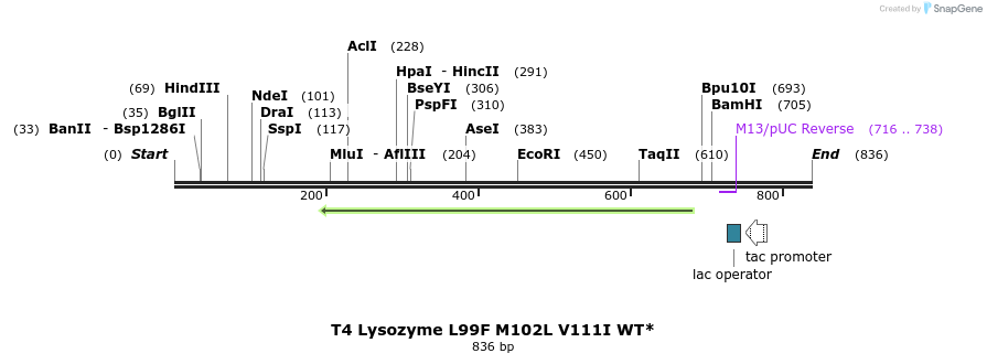 24267_map