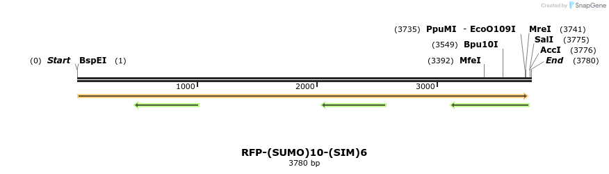 242681_map