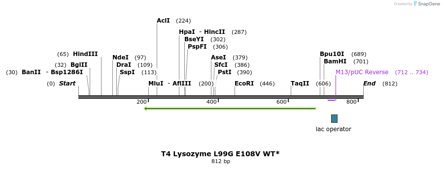 24270_map