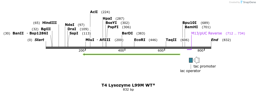 24272_map
