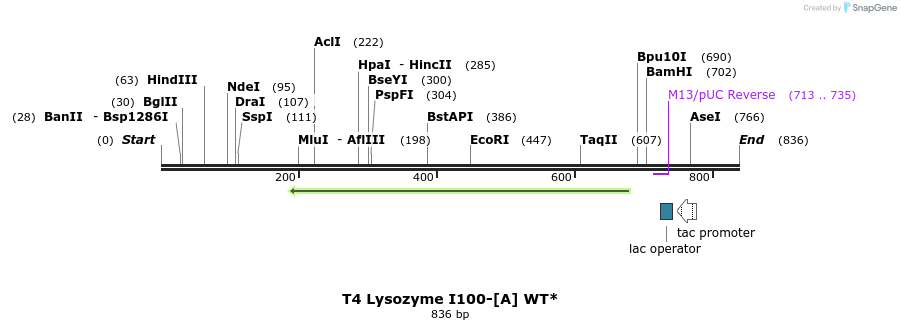 24273_map