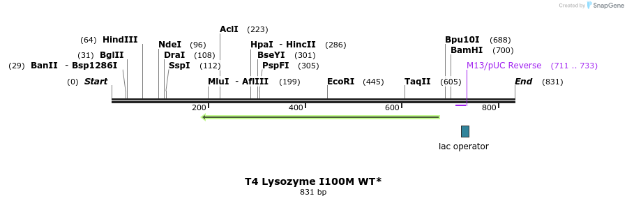 24275_map