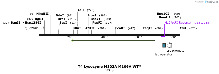24279_map