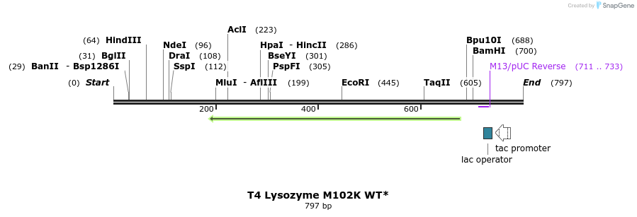 24280_map