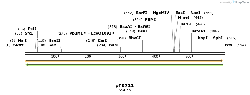 242823_map