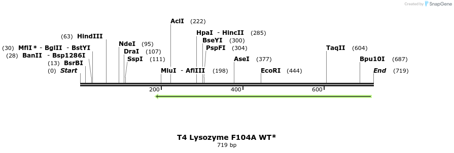 24285_map