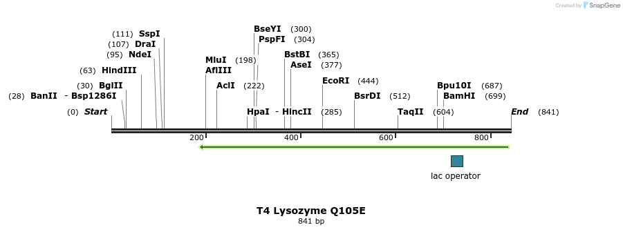 24287_map