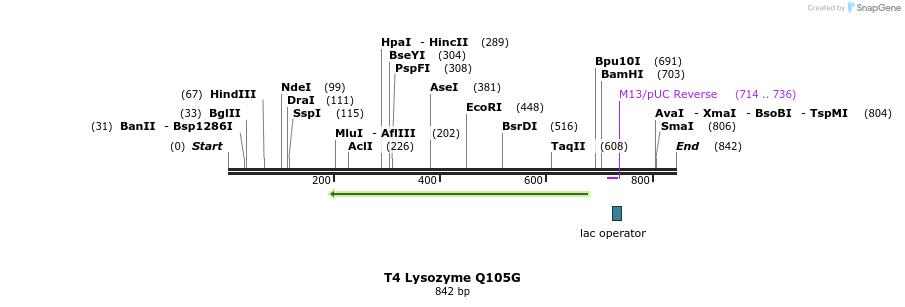 24288_map