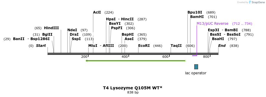 24289_map