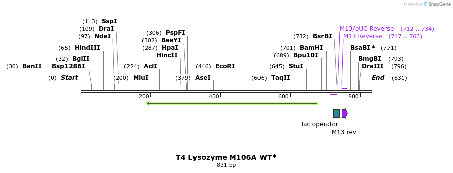 24290_map